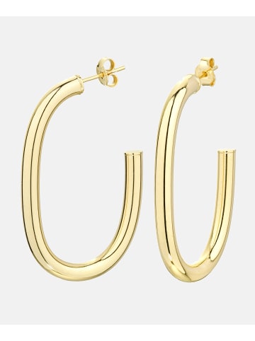 Vanlere Creolen aus 375 Gelbgold