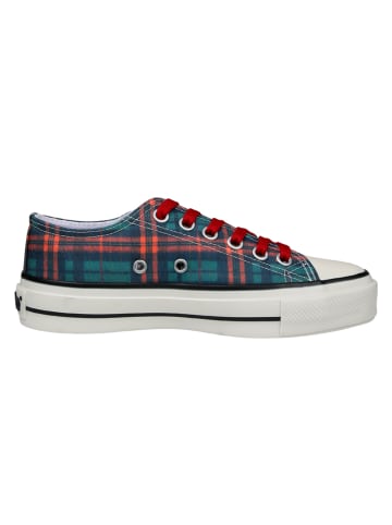 Dogo Liria Sneaker - Teddy Bear in Grün