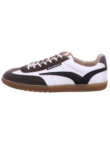 Floris van Bommel Schnürschuh in weiß