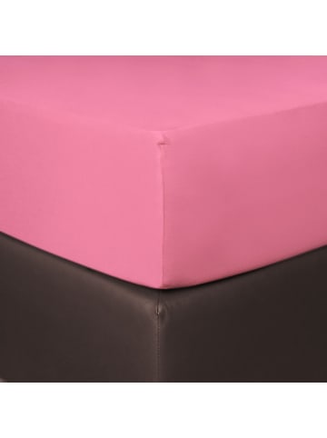 BettwarenShop Spannbettlaken Boxspring in pink