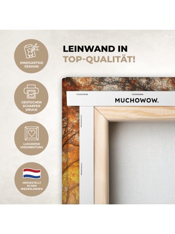 MuchoWow Leinwand bilder Waldweg (BxH)