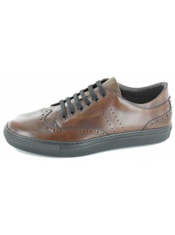 LANCIOR Schnürschuhe in braun