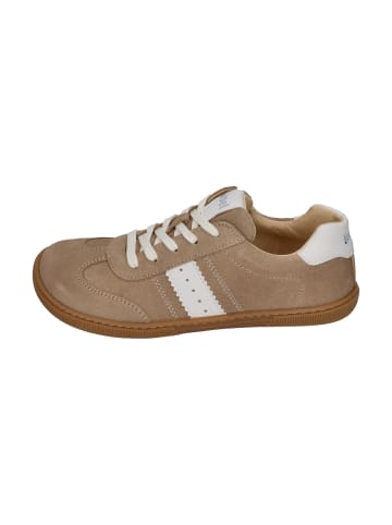 KOEL Sneaker Low DECLAN SUEDE 3.0 in natur