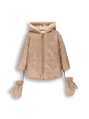Coccodrillo Winterjacke in braun