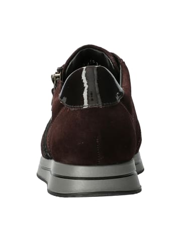 Mephisto Komfort Schnürschuhe in Lila