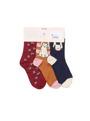Walkiddy Socken 3 Paar Socken aus Baumwolle (Bio)