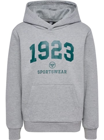 Hummel Kinder Hoodie "Hmlnipps Hoodie" in Grau