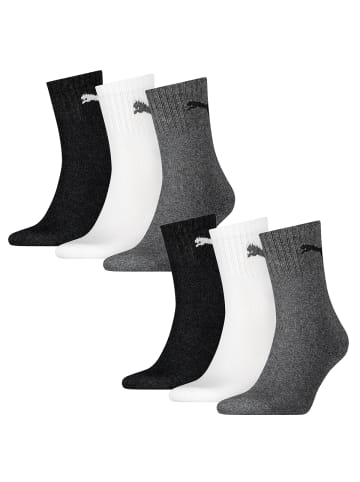 Puma Socken 6 Paar Puma Short Crew in 882 - grey/white/black