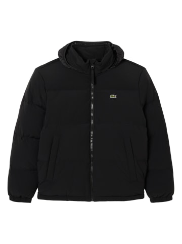 Lacoste Steppjacke 1er Pack in Schwarz