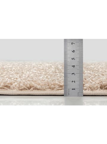 the carpet Hochflorteppich Foxy in Beige
