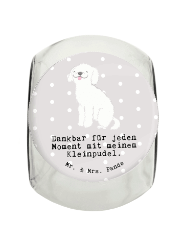 Mr. & Mrs. Panda Dose Kleinpudel Moment mit Spruch in Grau Pastell