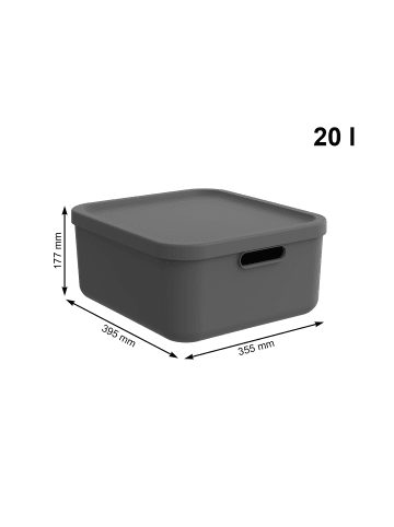 Rotho Albula Light Set 3tlg. 2x 20l und 55l Aufbewahrungsboxen mit Deckel in Anthrazit