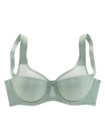 nuance Minimizer-BH in salbei