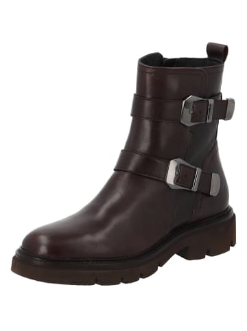 palado Stiefeletten in 337 brown
