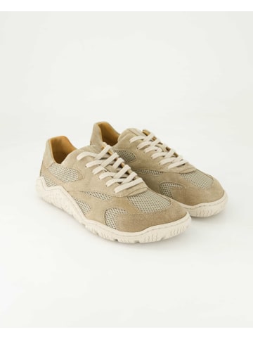 KOEL Barfußschuhe in Beige