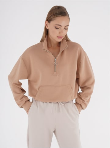 Freshlions Pullover in camel