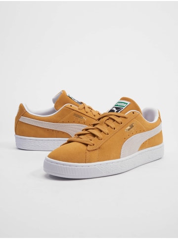 Puma Turnschuhe in honey mustard/puma white