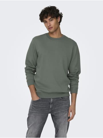 ONLY & SONS Sweatshirt in Castor Gray