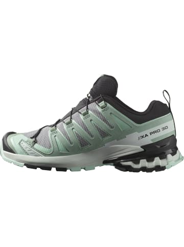 SALOMON Trailrunning-Schuh XA PRO 3D V9 GORE-TEX in quiet shade/lily pad/blue haze