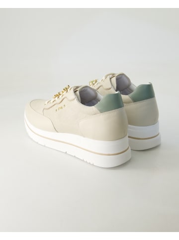 Nero Giardini Sportliche Schnürschuhe in Beige
