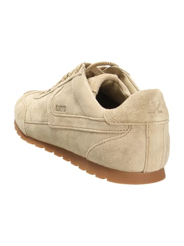LLOYD Sneaker Low in Beige