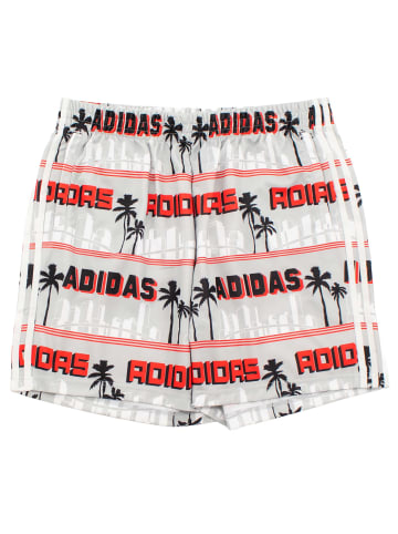 adidas Shorts Nigo La Palm in Grau