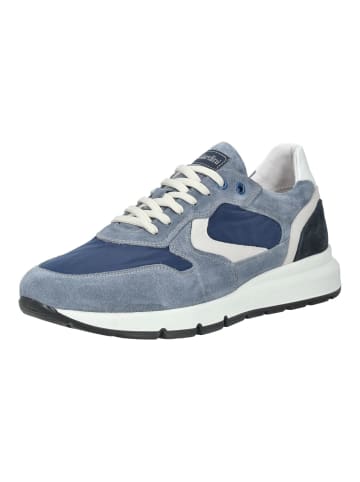 Nero Giardini Sneaker in Blau/Weiß
