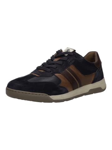 Josef Seibel Blake 02 in dunkelblau-multi