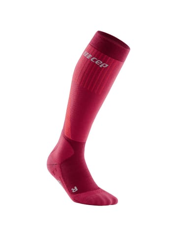 cep W COMPRESSISOCKS in Rot