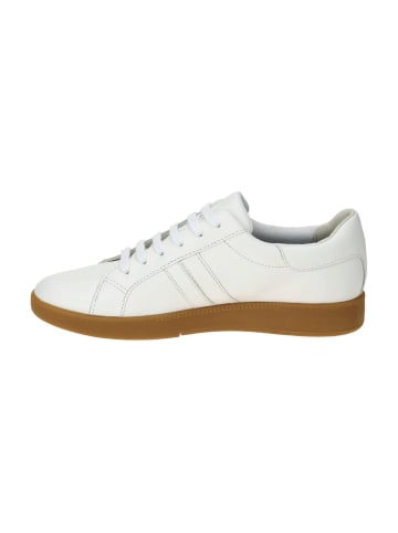 Geox Sneaker Low in Weiß