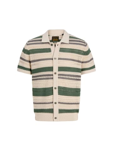 Jack & Jones Poloshirt 'Bluhamilton' in grün