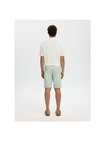 Selected Polo in egret