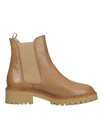 Högl Stiefelette in Toffee