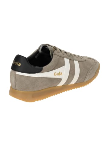 Gola Sneaker Low in Grau