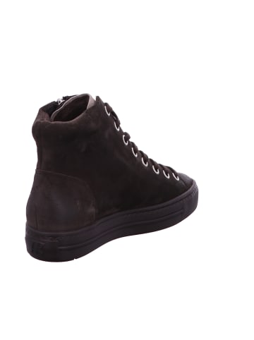 Paul Green Stiefeletten/Boot in braun