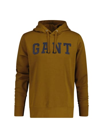 Gant Sweatshirt in Braun