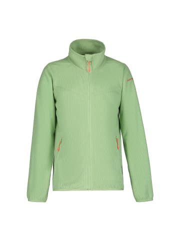 Icepeak Fleecejacke Kimball Jr in Grün