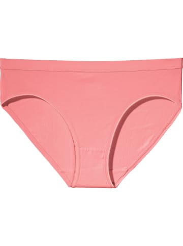 REDBEST Baumwolle, Single-Jersey Slip 3er-Pack in pink/koralle/apricot
