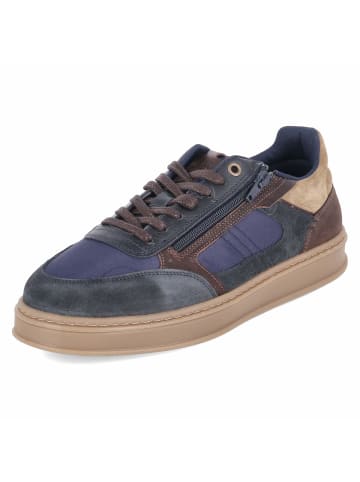 Bullboxer Low Sneaker in blau
