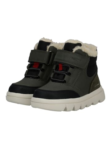 Geox Stiefelette Schwarz/Grün