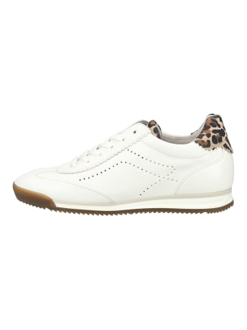 Gabor Sneaker in Weiß