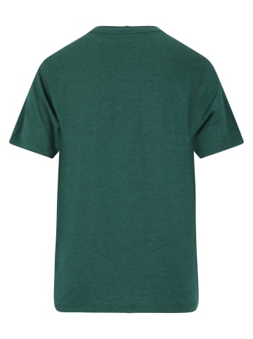 Endurance T-Shirt Abdon in 3200 Sea Moss