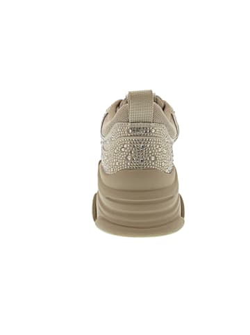 Steve Madden Privy Sneaker low Beige