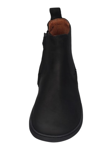 KOEL Chelsea Boots FILAS HYDRO in schwarz
