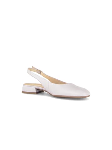 Gabor Slingpumps in lila