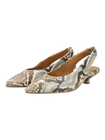 Gabor Pumps in Blau/Beige