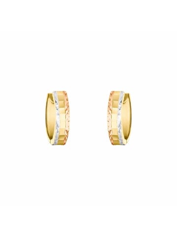 Amor Creolen Gold 375/9 ct in Tricolor