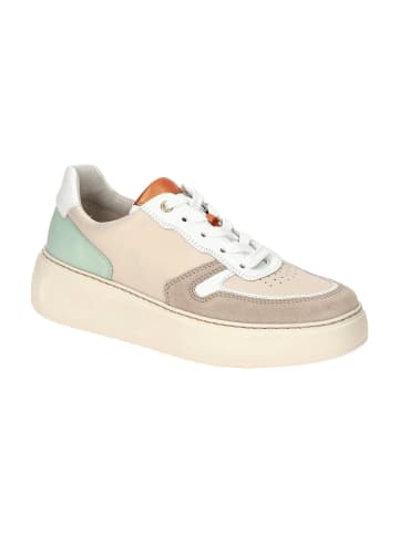 Gabor Sportliche Schnürschuhe in Beige