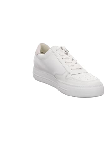 Paul Green Lowtop-Sneaker in white/offwhite