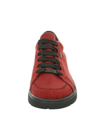 ara Sneakers in rot